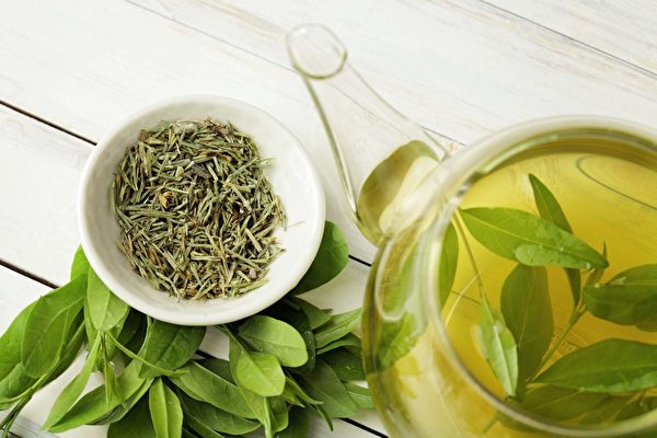 绿茶提取物促进肠道健康，降低血糖 第1张