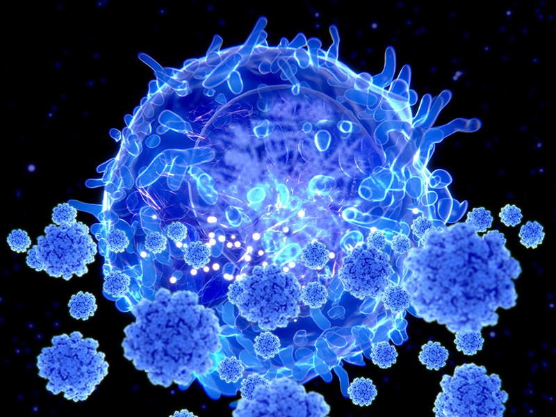 微小的变化如何帮助T细胞存活 第1张
