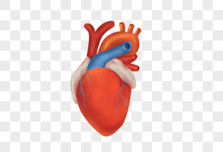 减轻压力引起的心脏病期间蛋白质特征的变化 第1张