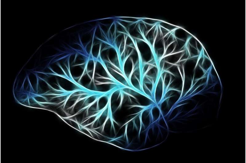 研究人员创造了最逼真的脑细胞计算机模型 第1张