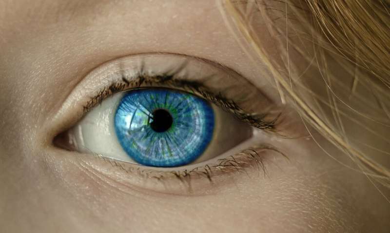 完全色盲儿童的基因治疗可部分恢复视锥细胞功能 第1张